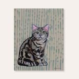 American Shorthair Paper Print