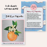 Orange Blossom Magnet ( Die-Cut )