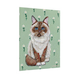 Ragdoll Cat Art Print