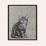 American Shorthair Cat Framed Fine Art Canvas Print