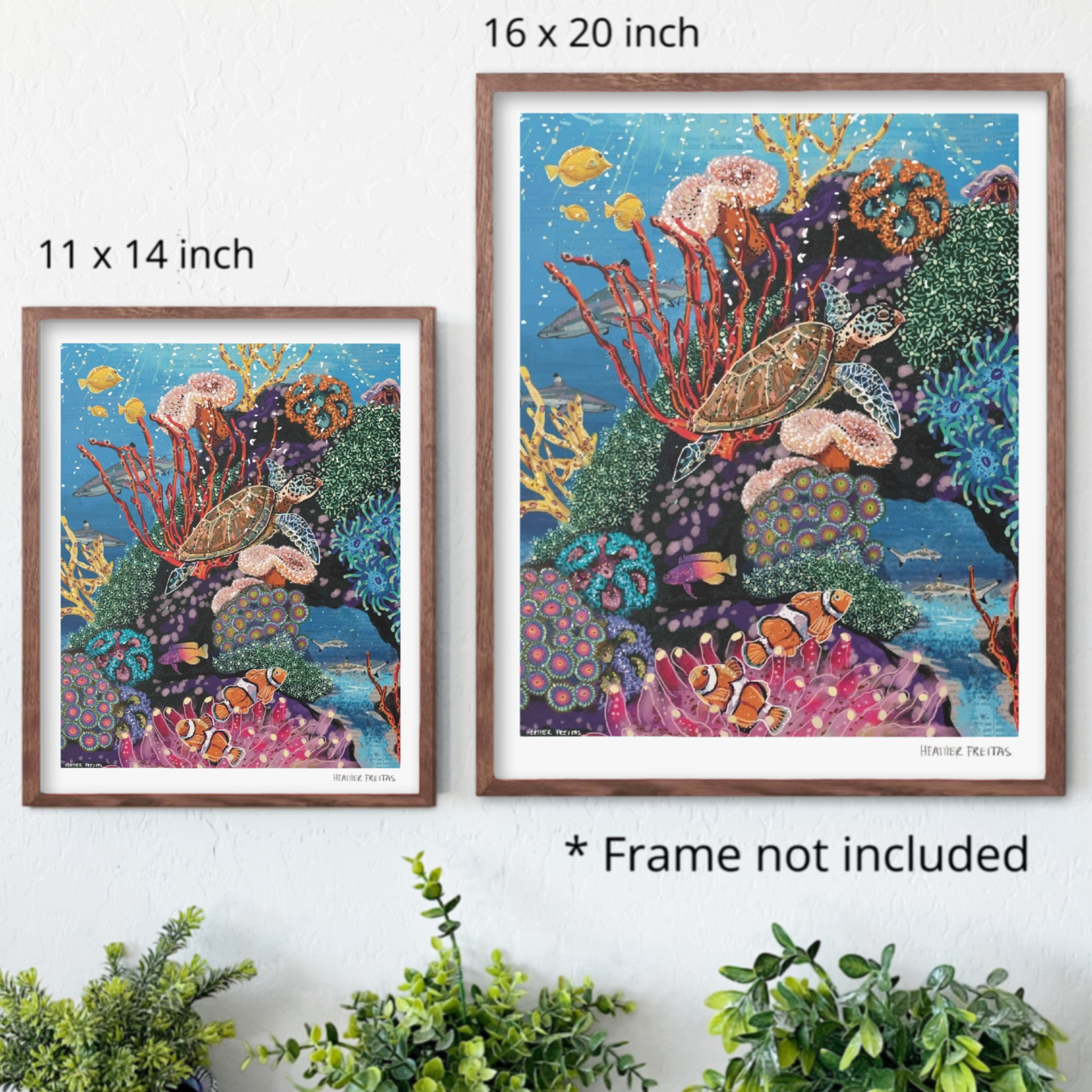 Turtle Tides Fine Art Print