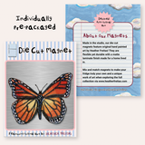 Monarch Butterfly Magnet ( Die-Cut )