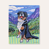 Bernese Mountain Dog Paper Print