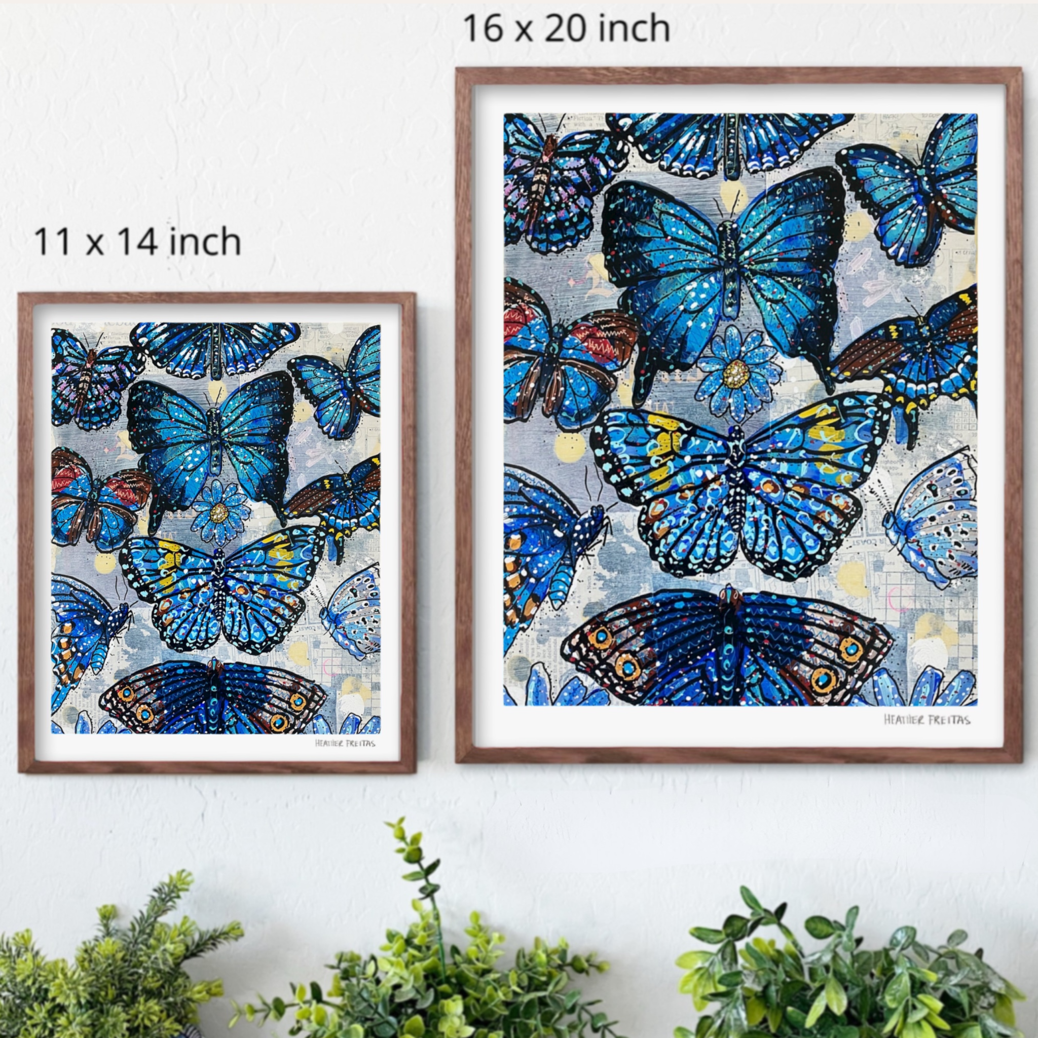 Blue Butterfly Species Fine Art Print