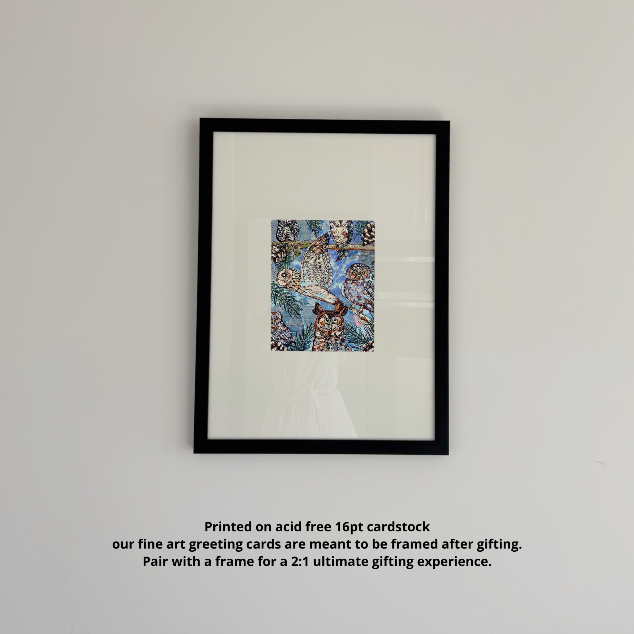 Owl Specimens - Greeting Card / Fine Art Print