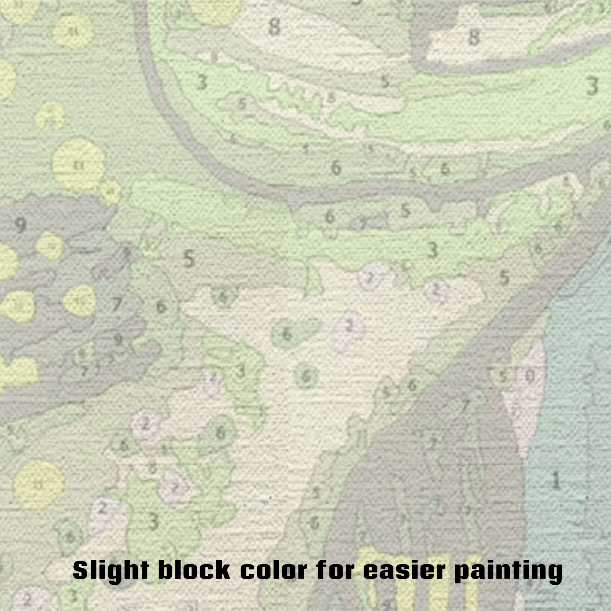 Bass - Paint by Numbers Kit