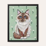Ragdoll Cat Framed Fine Art Canvas Print