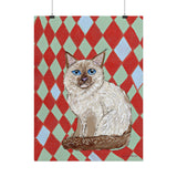 Birman Cat Art Print