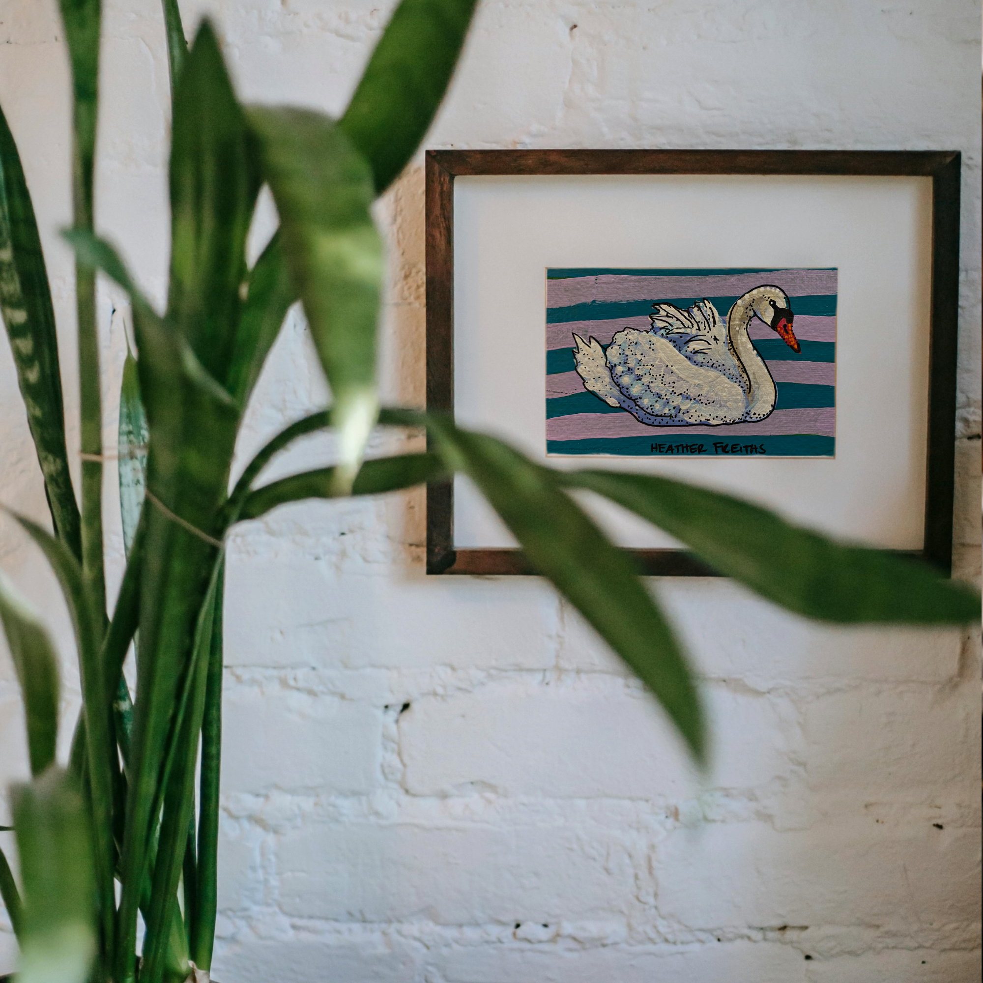 Swan Mini Fine Art Print