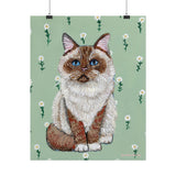 Ragdoll Cat Art Print