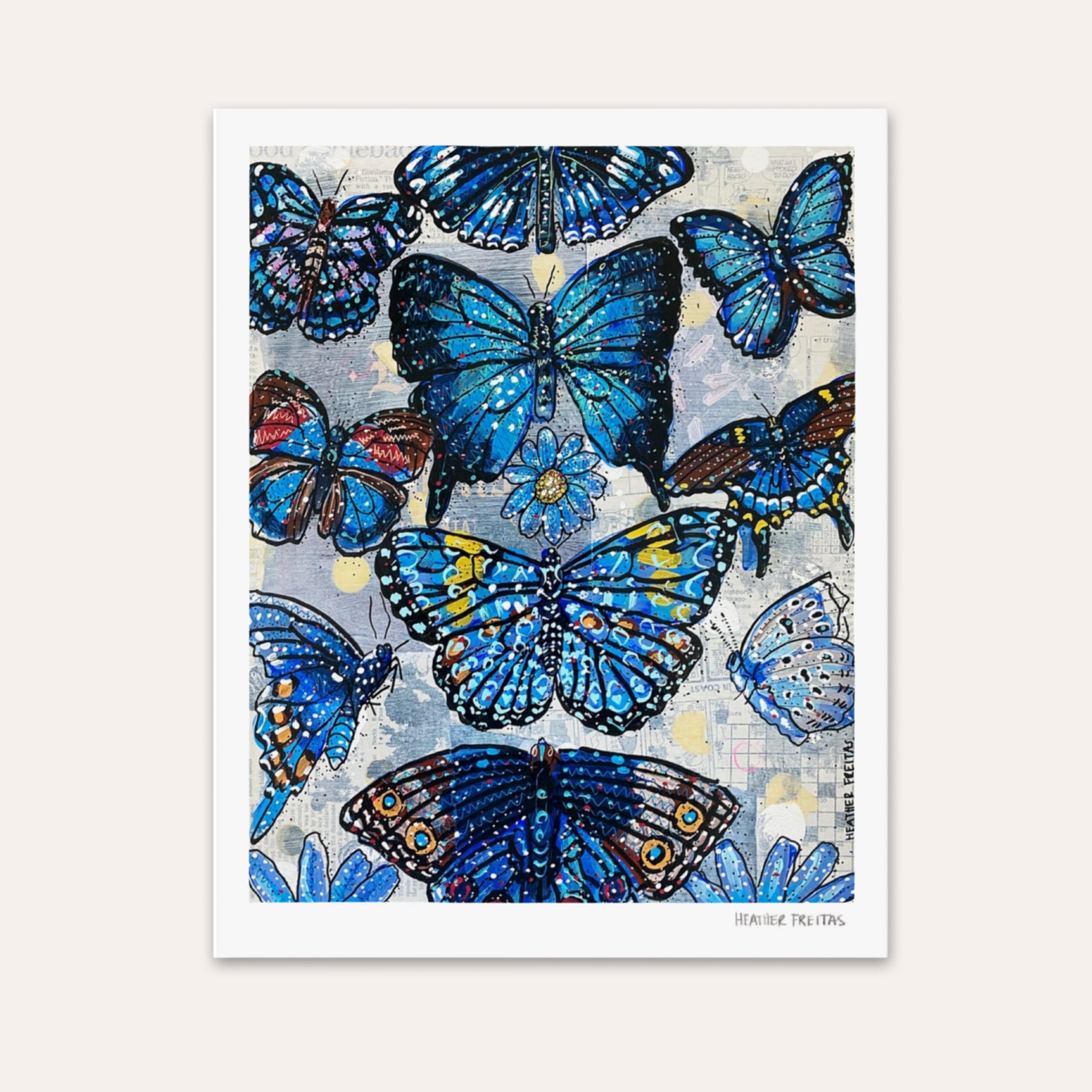 Blue Butterfly Species Fine Art Print