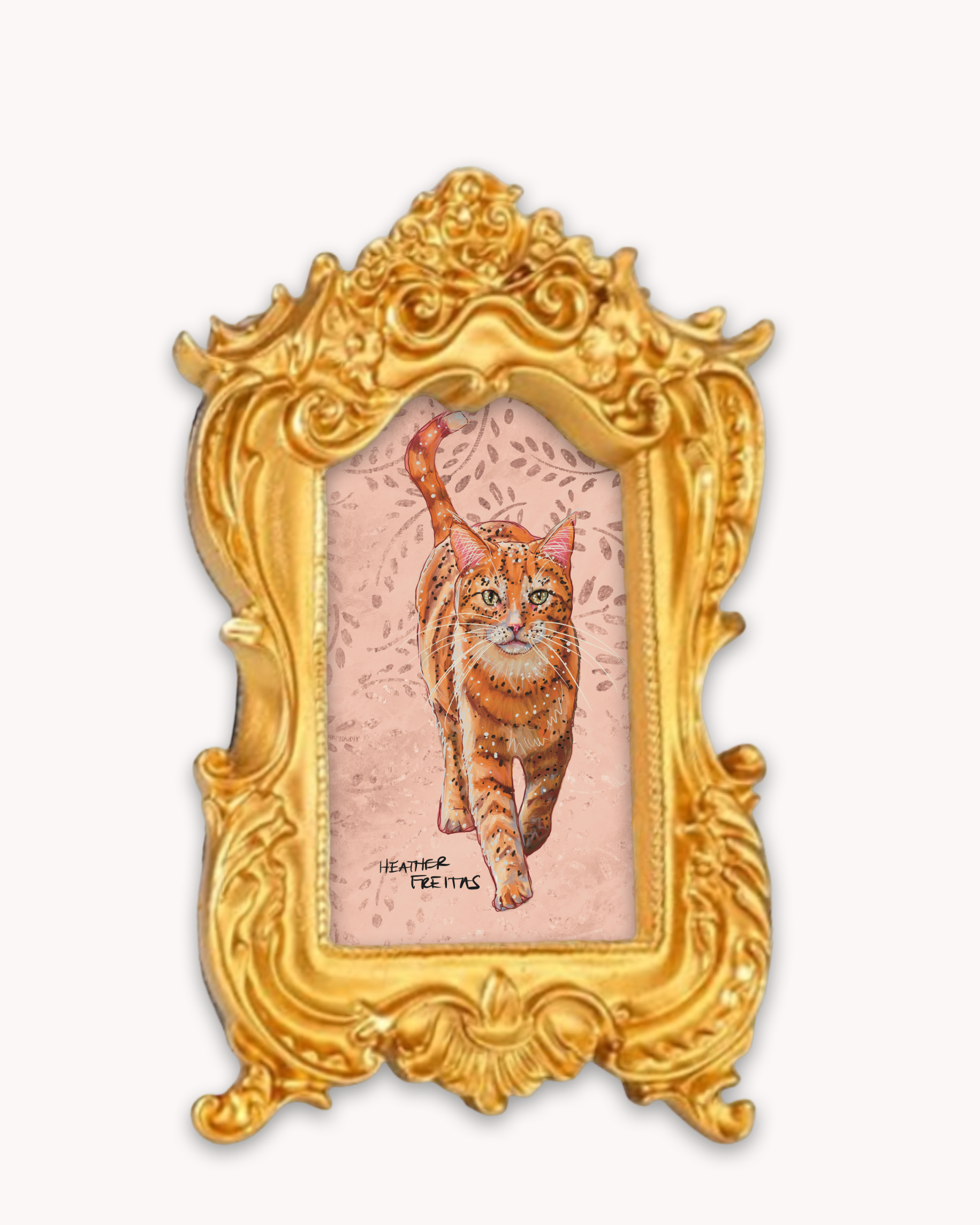Orange Tabby Framed Magnet ( Small )