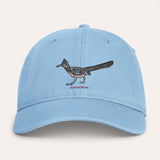 Roadrunner Washed Cotton Cap