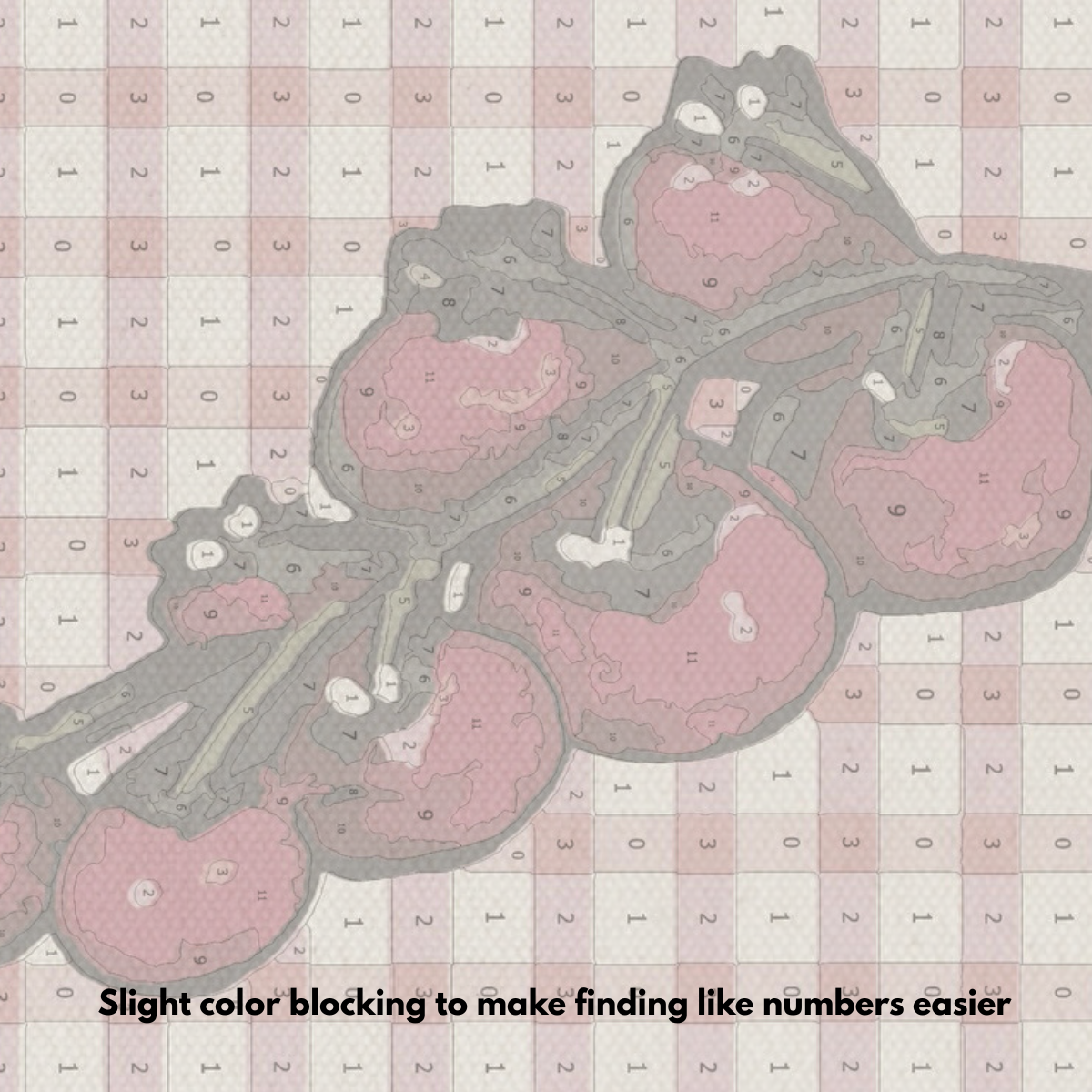 Tomato’s On The Vine - Paint by Numbers Kit