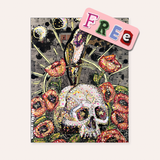 Lucifer Hummingbird ( Pay What You Can Digital Download Print )