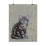 American Shorthair Art Print