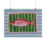 Red Snapper Art Print