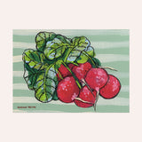 Radish Mini Art Print
