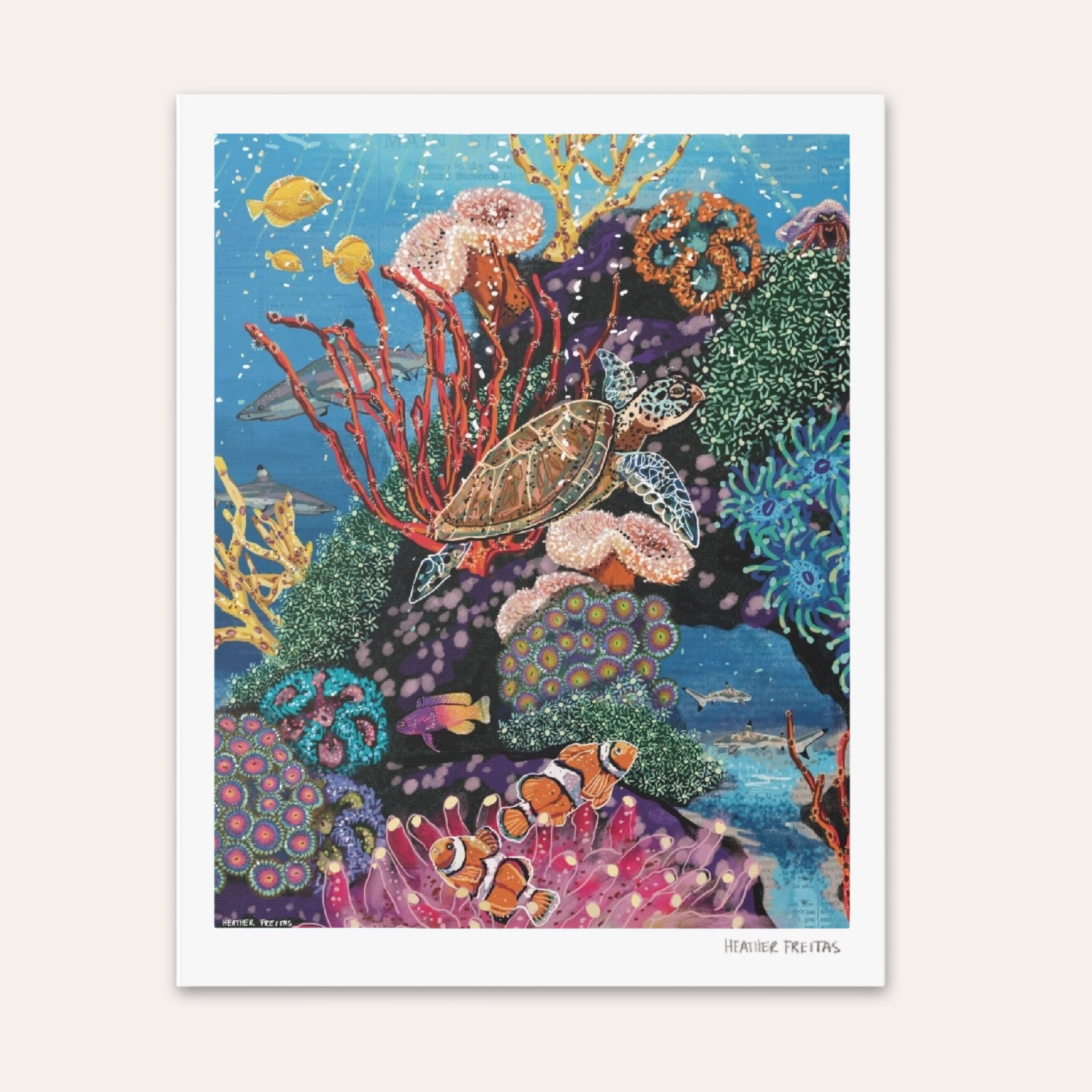 Turtle Tides Fine Art Print