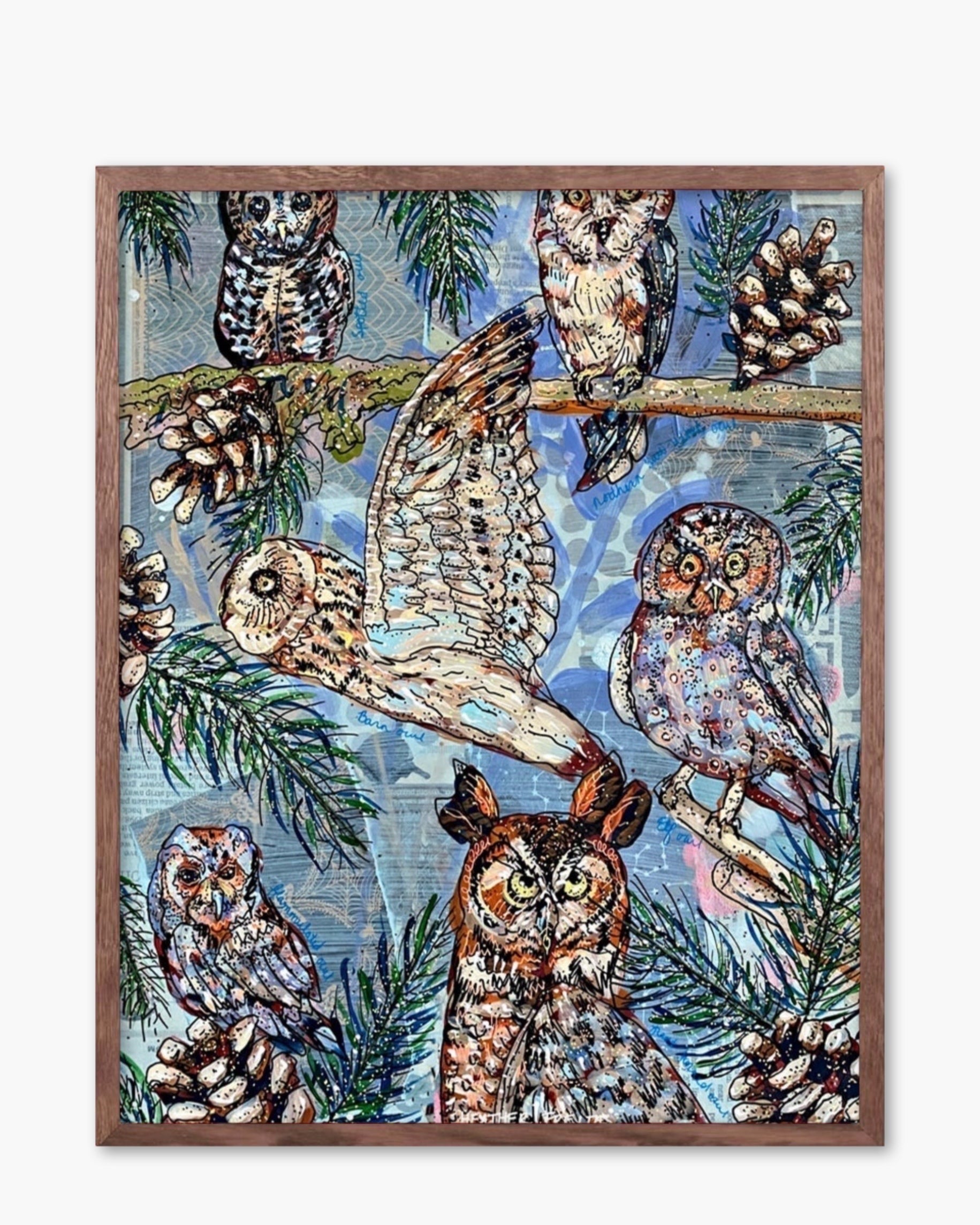 Owl Specimens - Limited Edition Print
