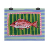 Red Snapper Art Print