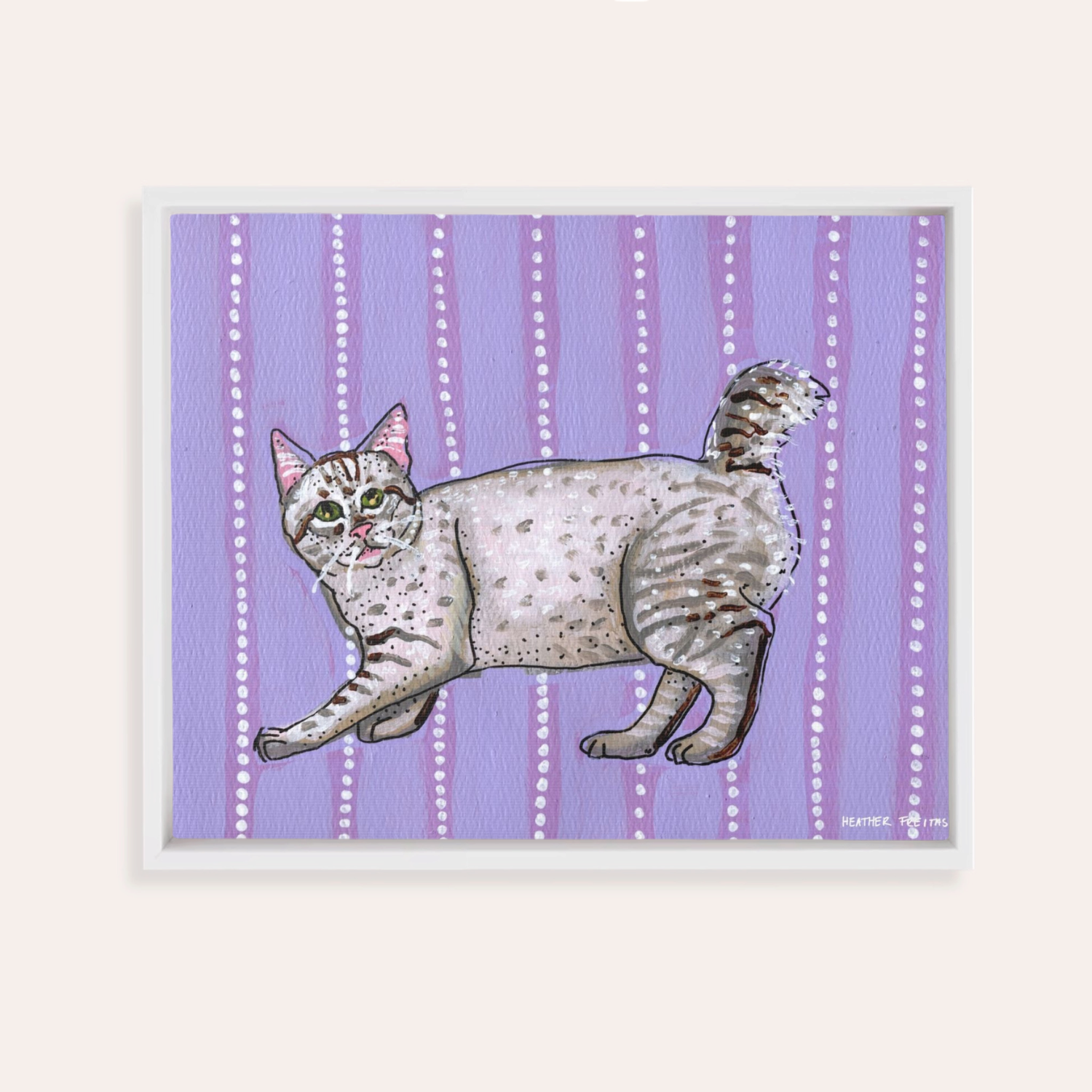 American Bobtail Cat Framed Fine Art Canvas Print