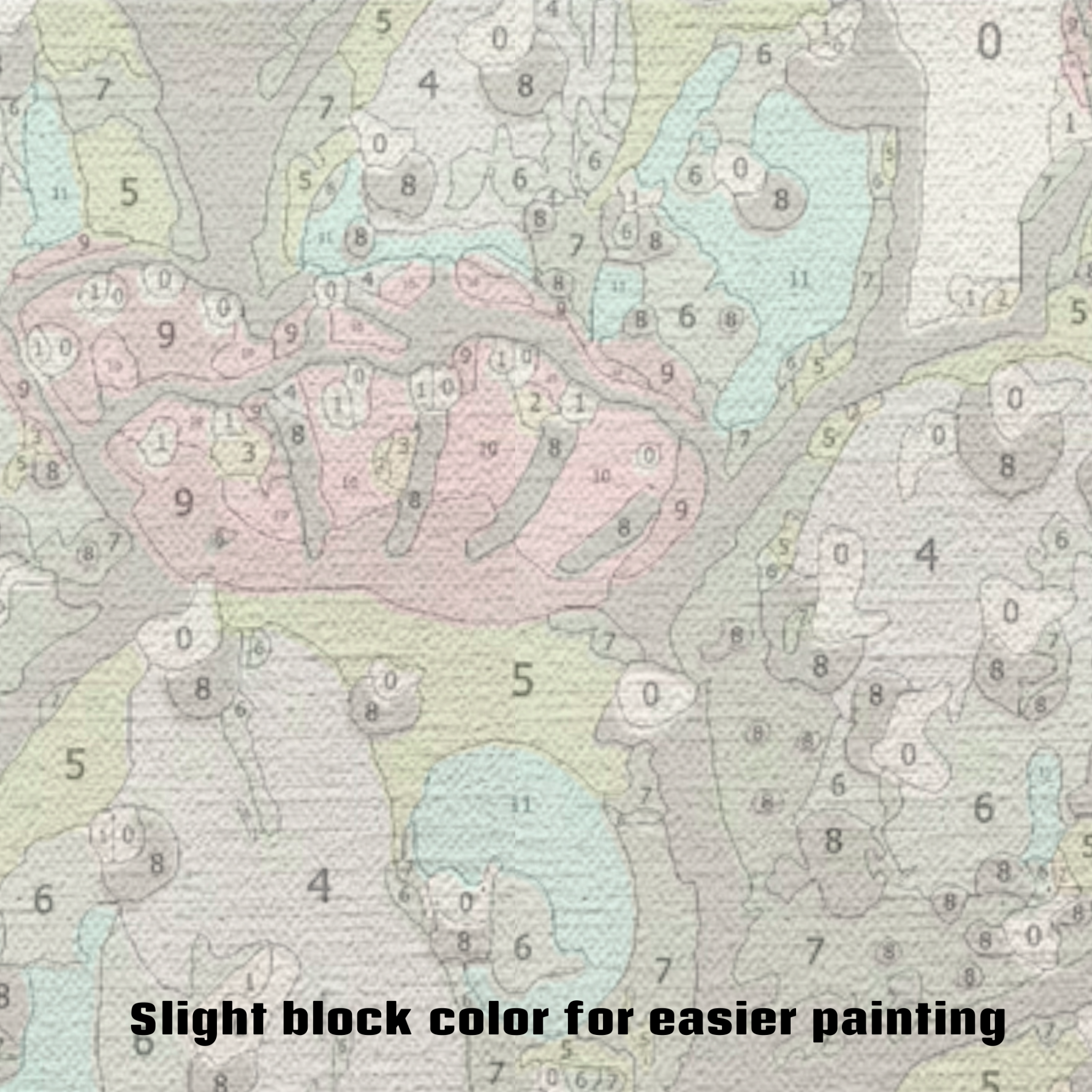 Prickly Pear - Paint by Numbers Kit