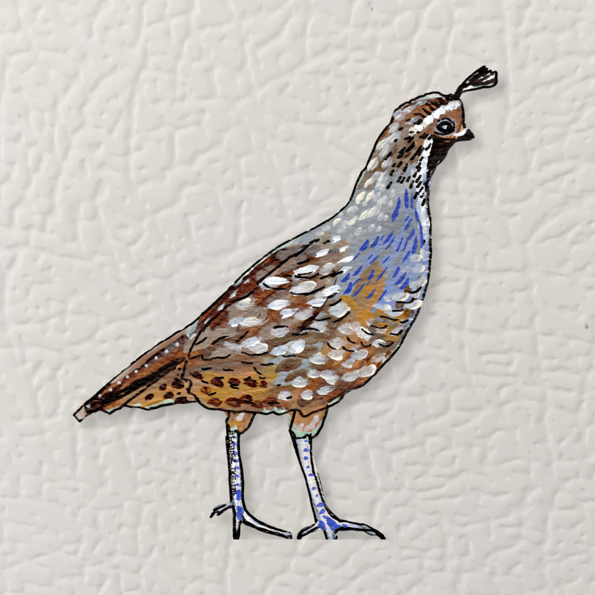 Quail Magnet ( Die-Cut )