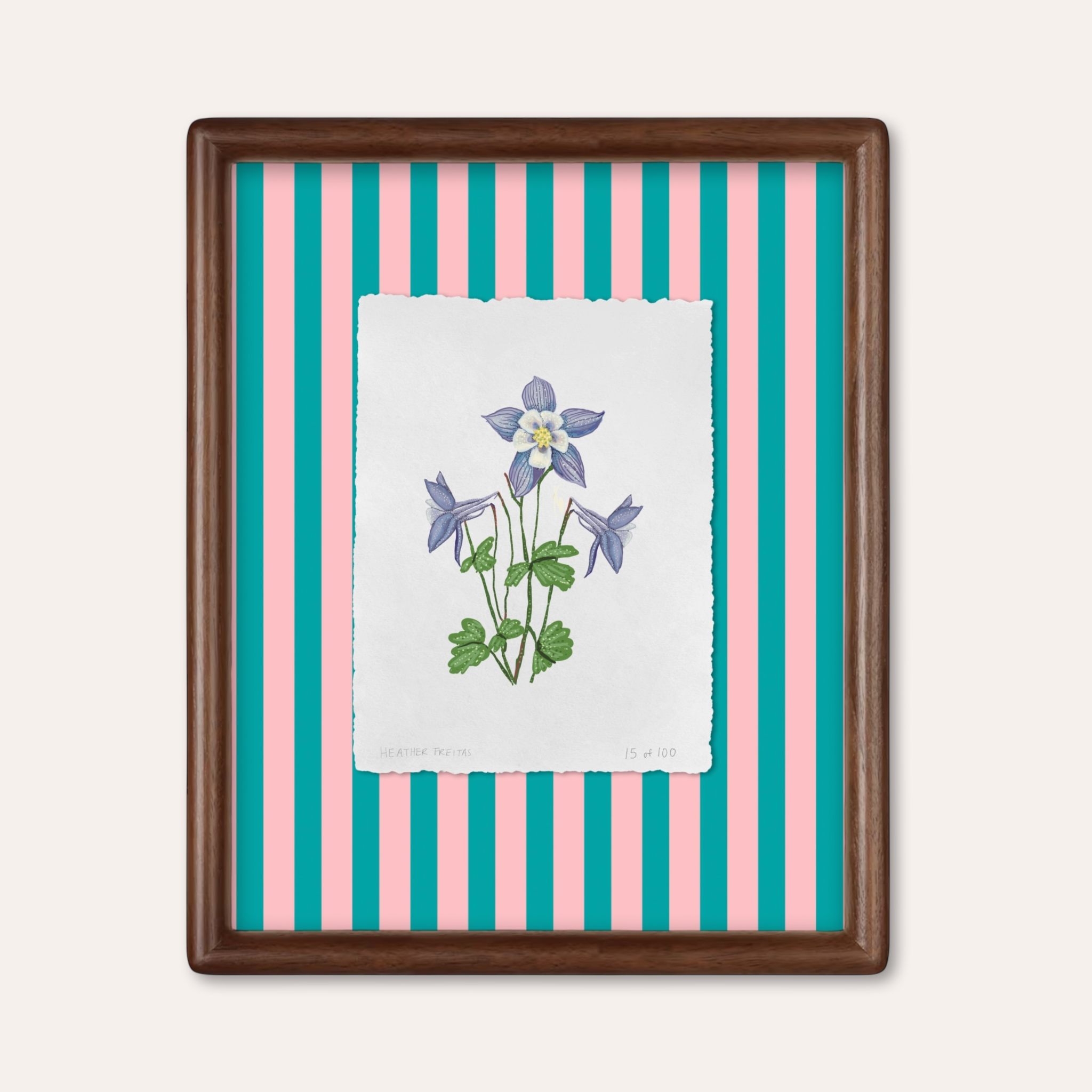 Blue Columbine Limited Edition Framed Print