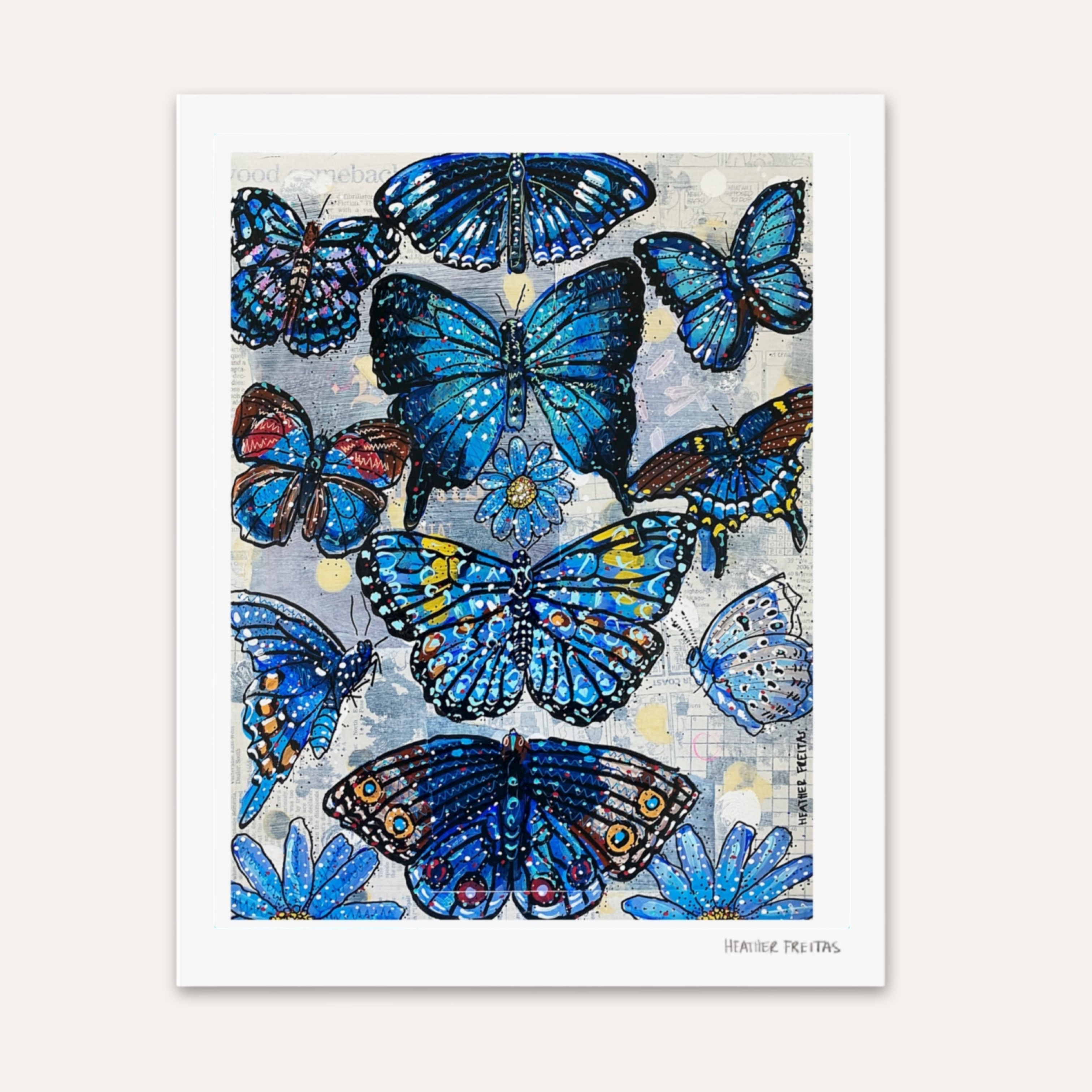 Blue Butterfly Species Fine Art Print