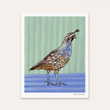 Quail Hand Signed Fine Art Print