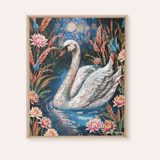 Serenity Swan Framed Fine Art Canvas Print
