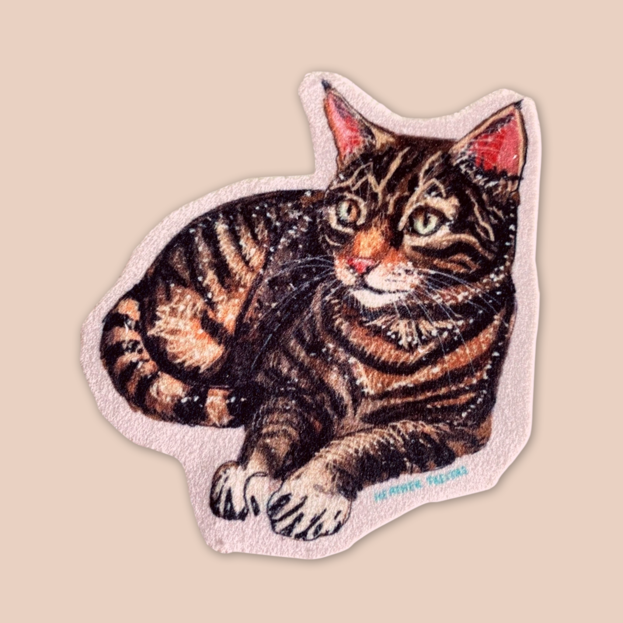 Brown Tabby Cat - Sew On Velveteen Patch