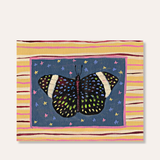 Starry Night Cracker Butterfly ( original painting )
