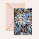 Owl Specimens Fine Art Greeting Card