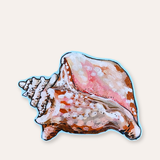 Conch Vinyl Sticker