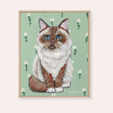Ragdoll Cat Framed Fine Art Canvas Print