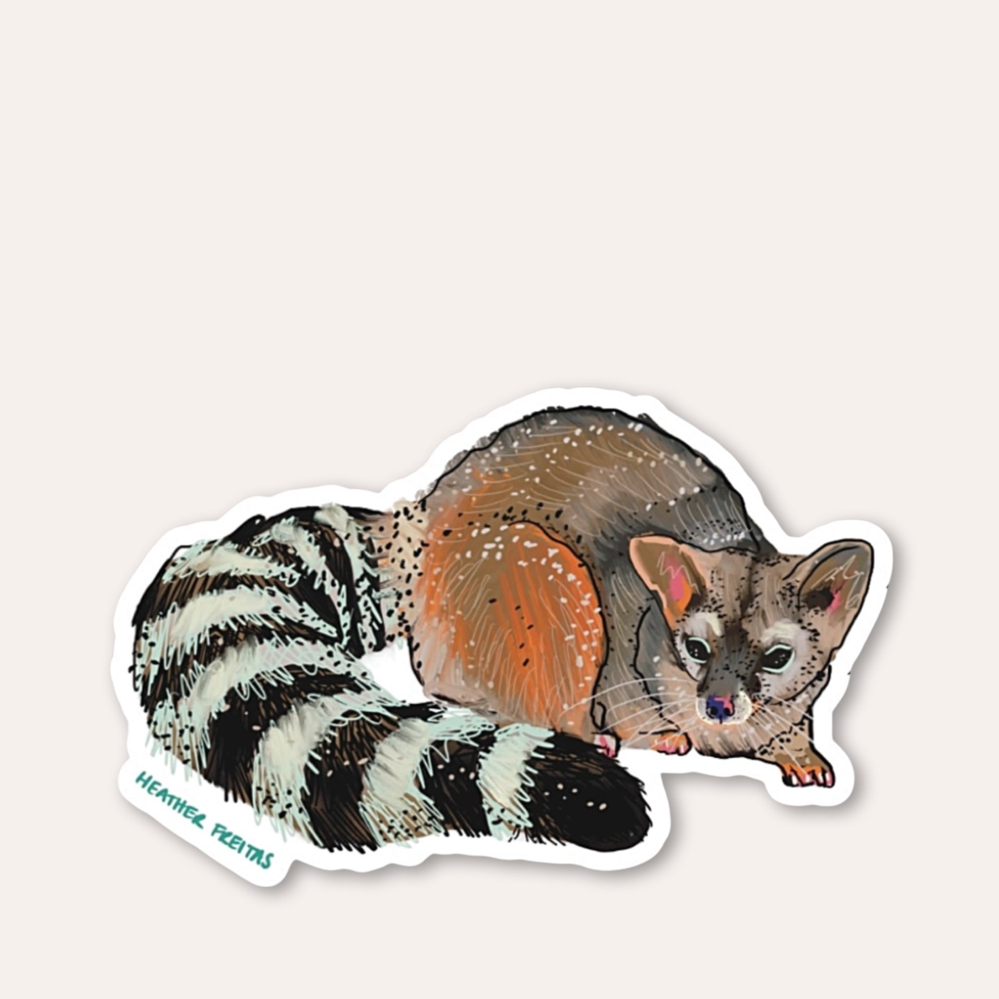 Ringtail Cat Sticker