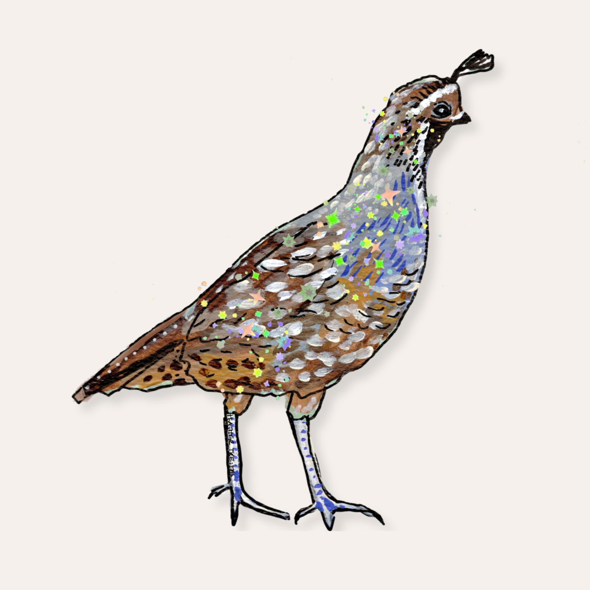 Quail Sticker