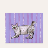 American Bobtail Cat ( original painting )