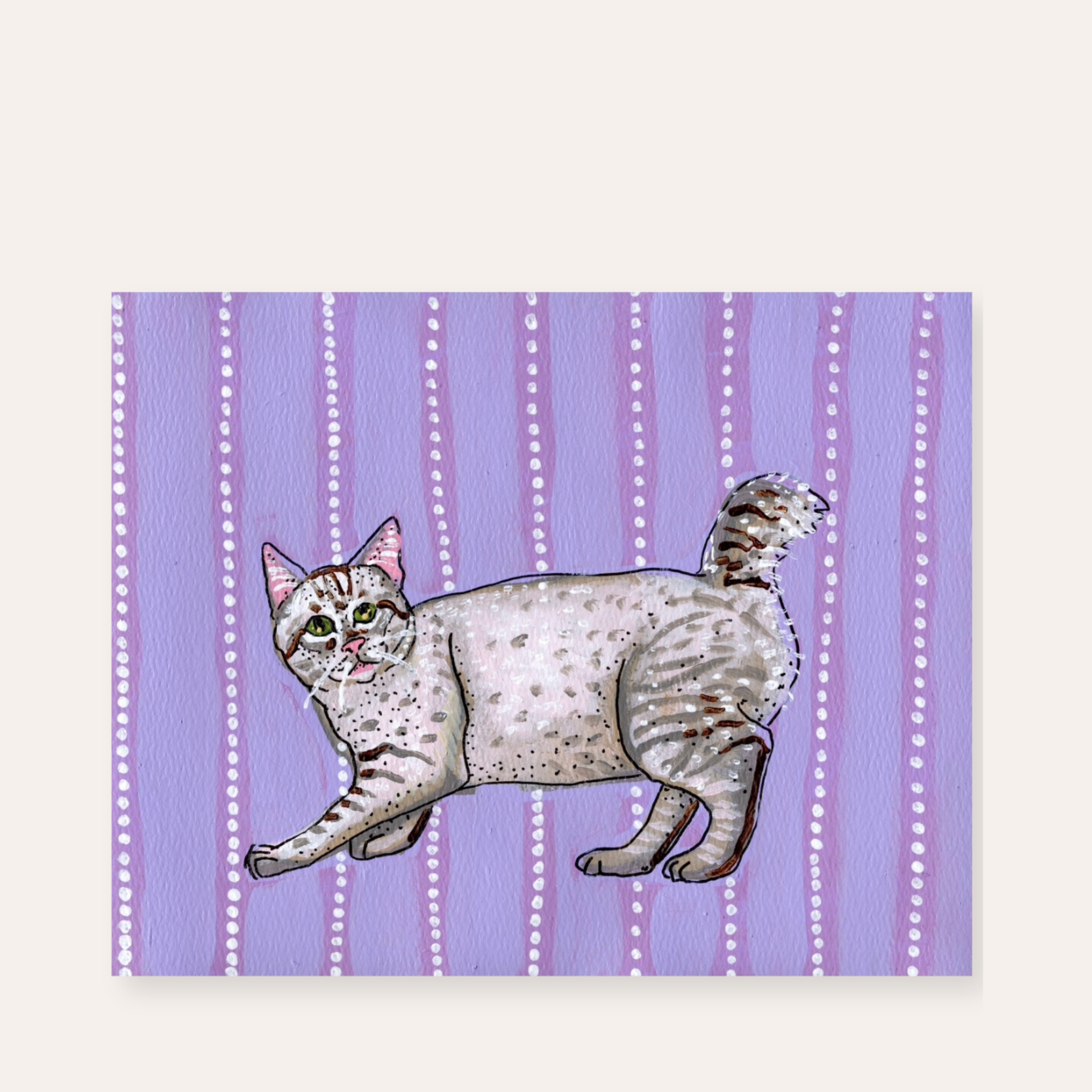 American Bobtail Cat ( original painting )