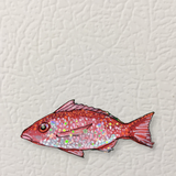 Red Snapper Magnet ( Die-Cut )