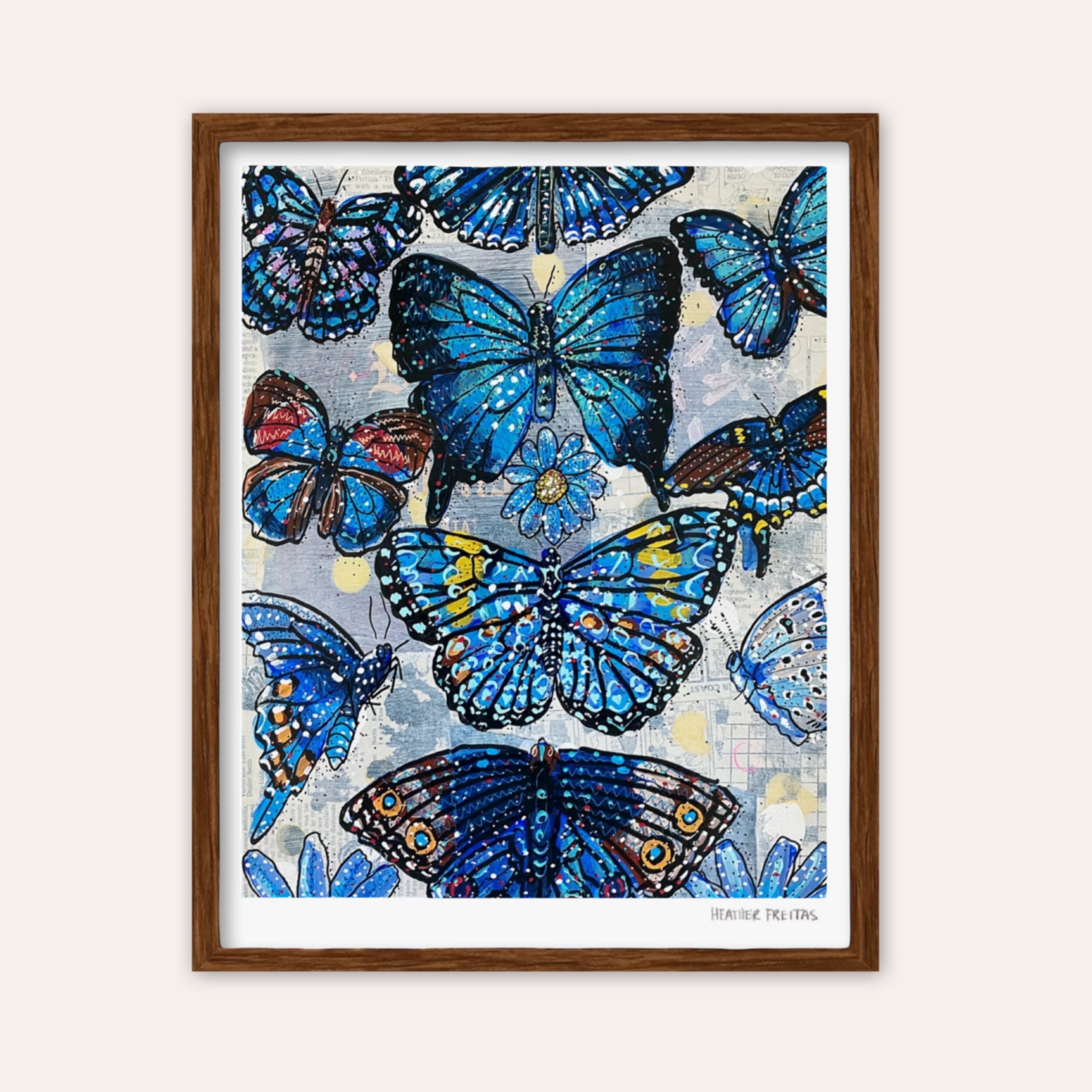 Blue Butterfly Species Fine Art Print
