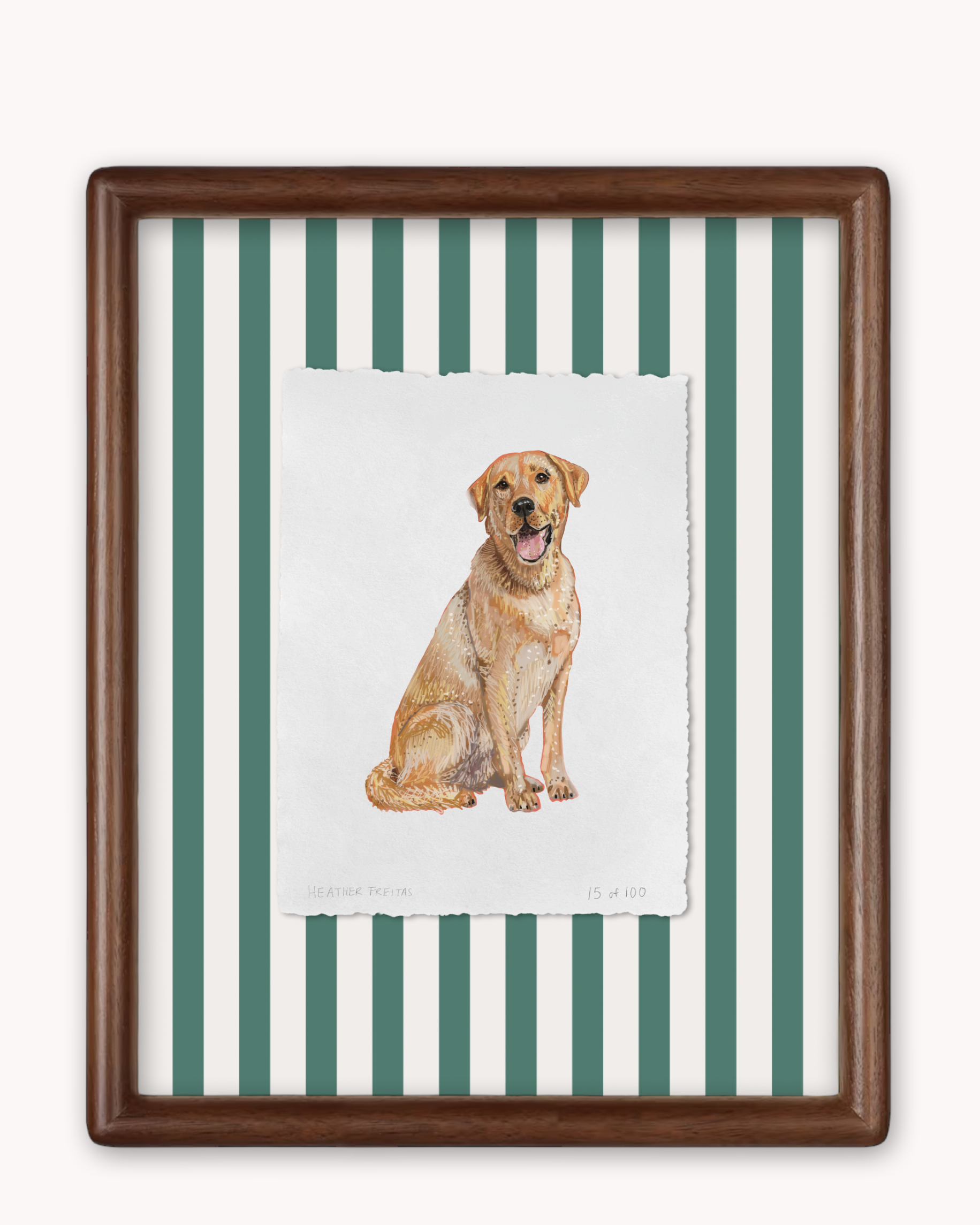 Labrador Limited Edition Framed Print