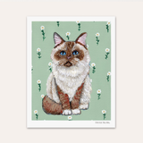 Ragdoll Cat Hand Signed Fine Art Print