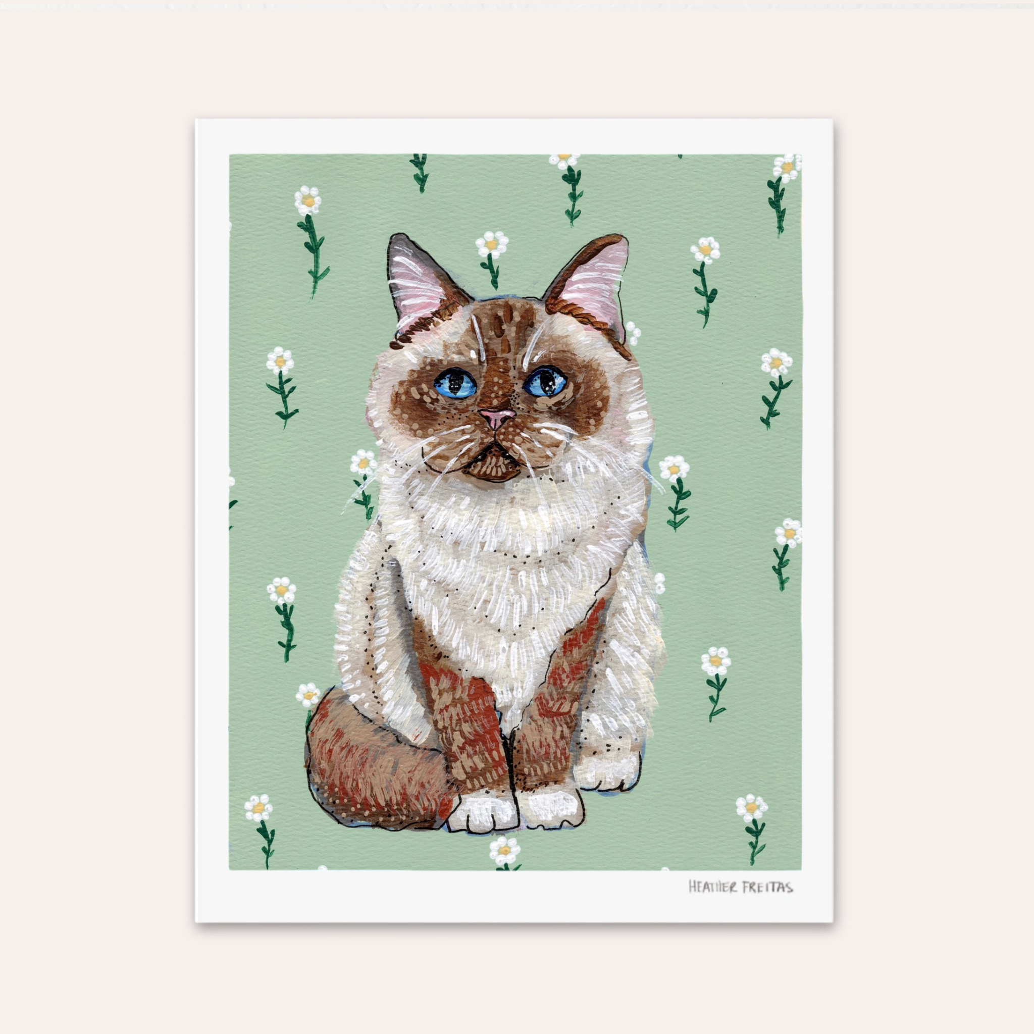 Ragdoll Cat Fine Art Print