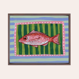 Red Snapper Framed Fine Art Canvas Print