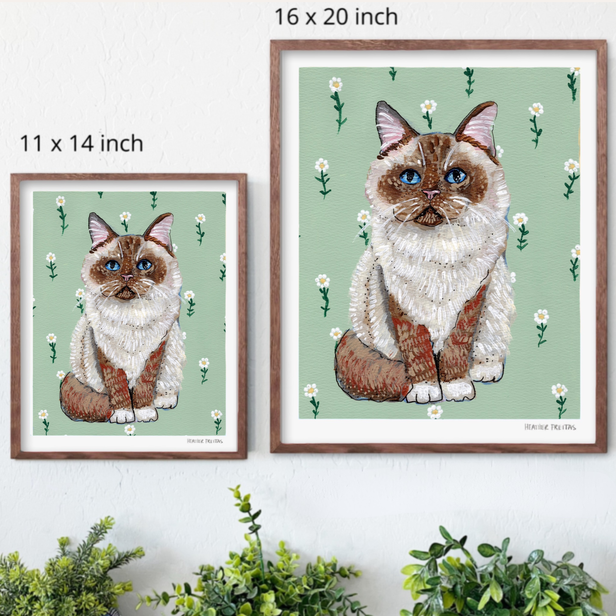 Ragdoll Cat Fine Art Print
