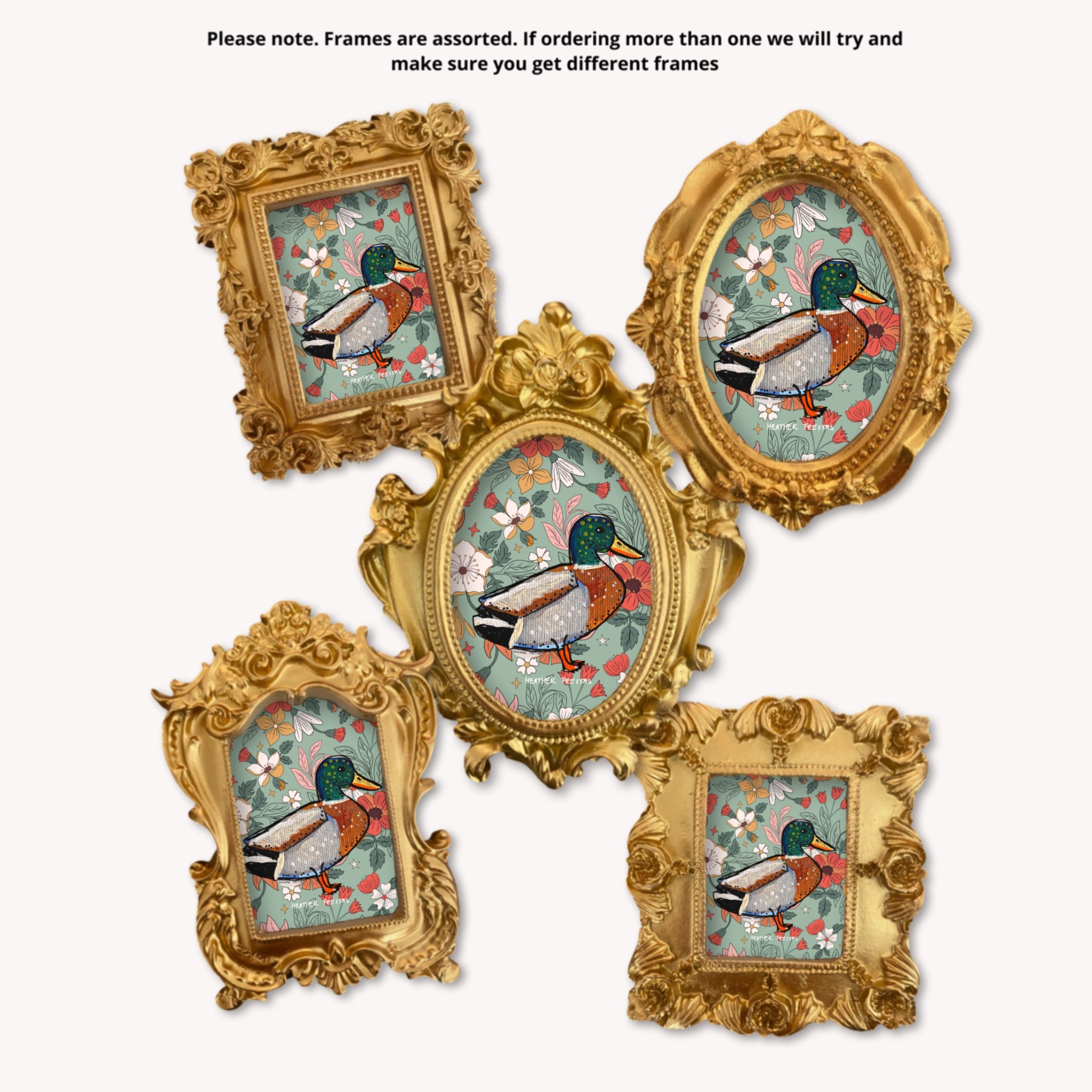 Mallard Duck Framed Small Magnet