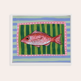 Red Snapper Framed Fine Art Canvas Print